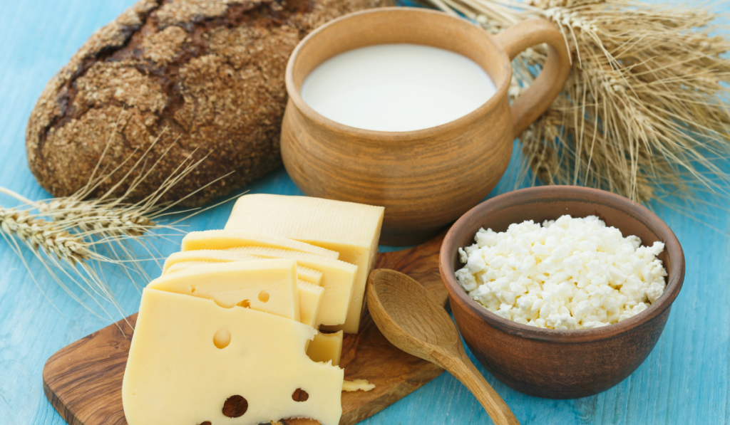 Cottage cheese, milk, bread and cheese on a wooden background