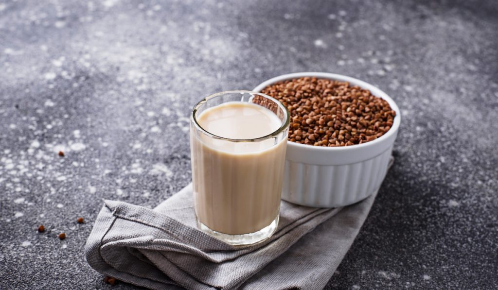 Non-dairy lactose free buckwheat milk and buckwheat on small bowl 