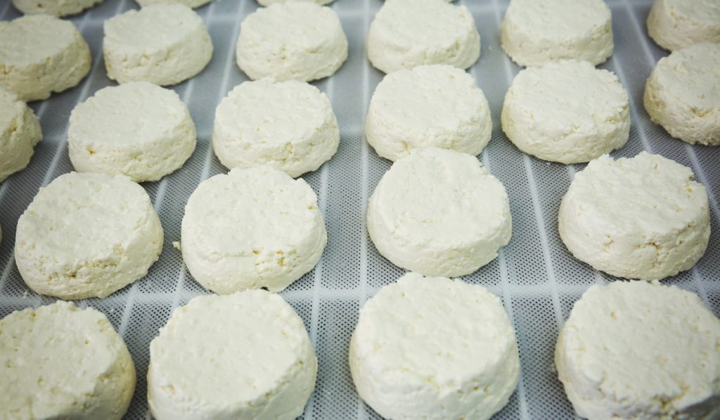 Close up of freshly made goats cheeses in a creamery