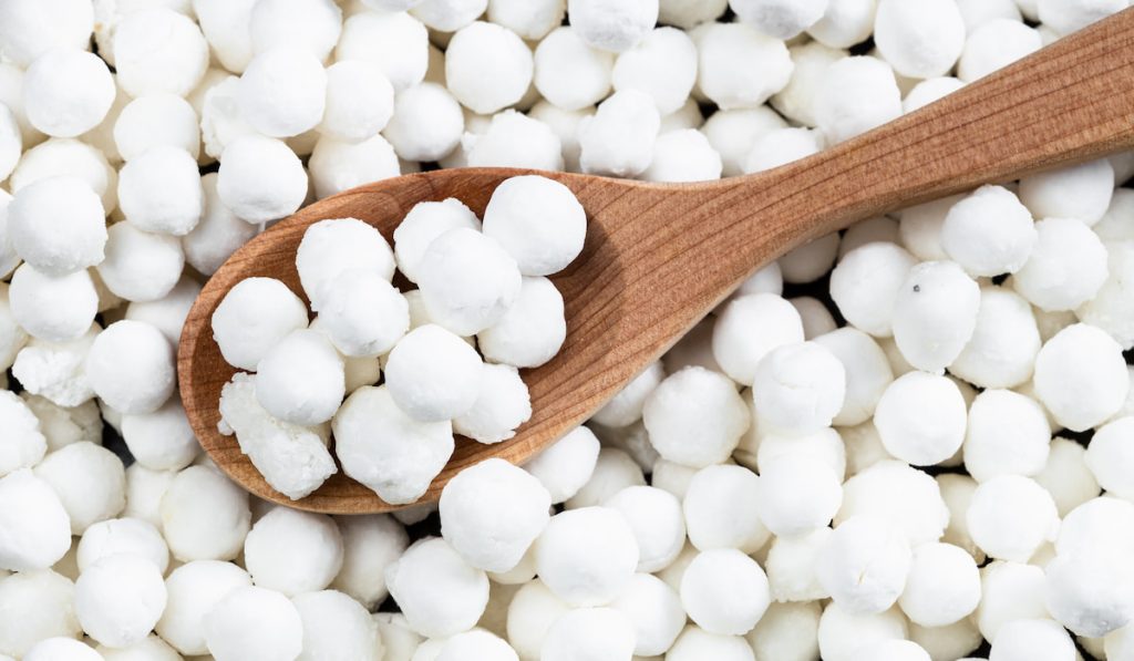 top view of wood spoon with raw tapioca pearls
